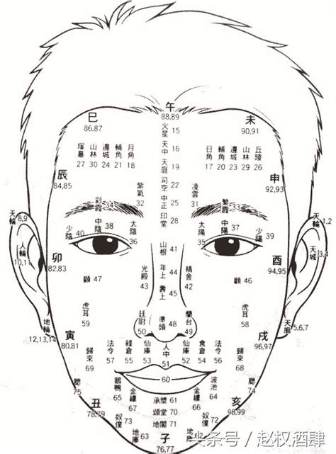 歲數面相年齡